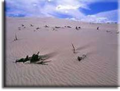 Остров Фрейзер