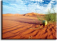 Пустыня Намиб, Ангола и Намибия