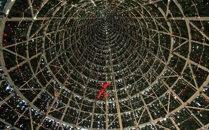 Целая команда из 12 человек всю неделю устанавливала эту елку