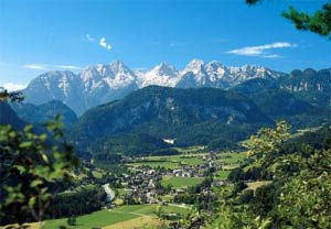 Флора - Альпийский пояс Австиря