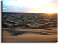 Хонгорын Элс