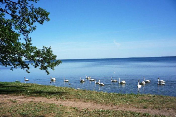 Озеро Нарочь