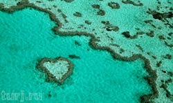 Большой барьерный риф - туризм