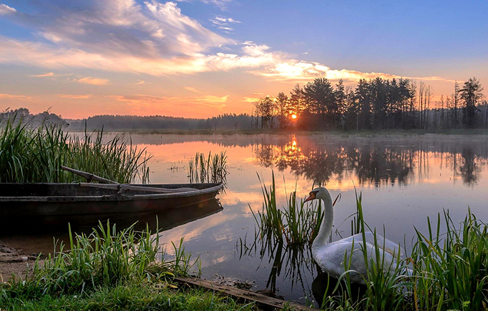 Березинский заповедник