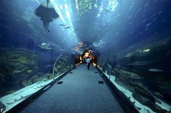 Аквариум в центре Dubai Mall
