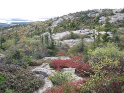 остров Маунт-Дезерт