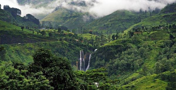 Отдых на Шри-Ланке