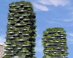 вертикальный лес