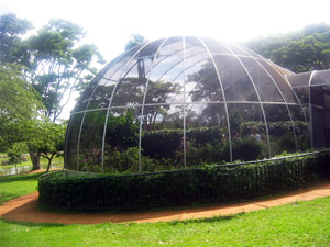 зоопарк в городе Бразилиа зоопарк в городе Бразилиа